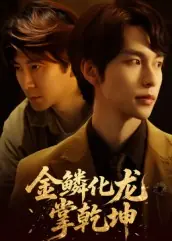 金鳞化龙掌乾坤封面图