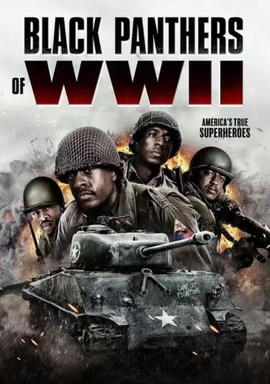 Black Panthers of WWII封面图