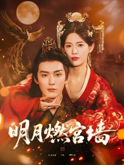 明月燃宫墙封面图